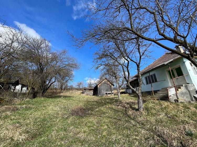 Casa cu Teren Extins Liniste, Natura si Spatiu Generos - 5