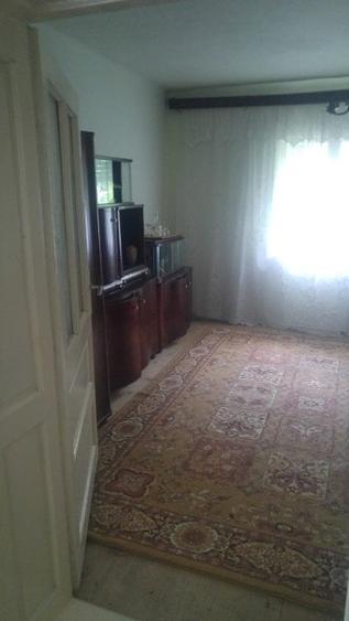 Vand casa la 10 km de Ineu - 6