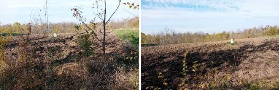 Teren Ungheni, ID: R2832820 - 11