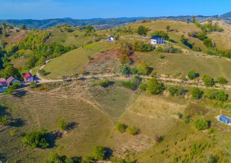 Teren extravilan 6,014mp | Holbav | BRASOV | COMISION 0| - 5