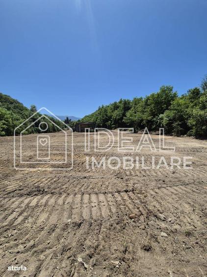 Teren intravilan 18.259 mp + construc?ie industriala, Mar?a - 1
