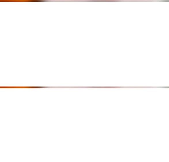 ap.2cam de vanzare - 5