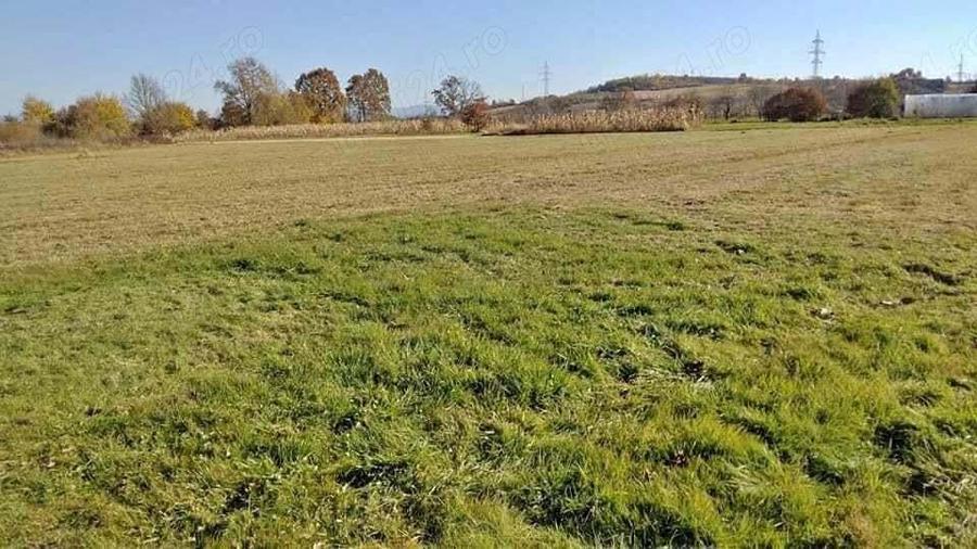 OCAZIE ! 57 ari intravilan la 500 eur ar Seini zona de case noi - 1