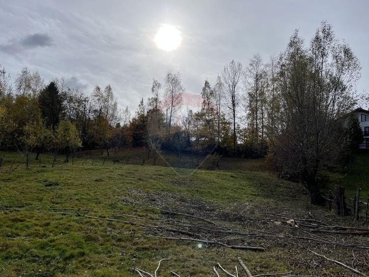 Teren de Vis in Bran - 1000mp Plat, Liniste Absoluta si Aer Curat - 18