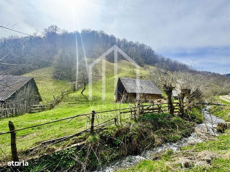 Teren intravilan + faneata, ideal pentru investitie - Rau Sadului - 2