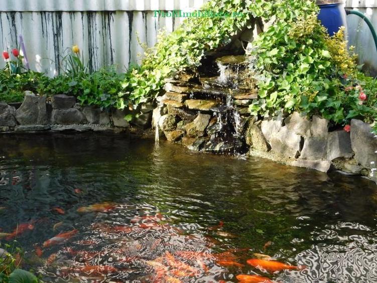 Vanzare spatiu comercial cu Casa P+E pentru clinica privata, cabinete sau labola - 10