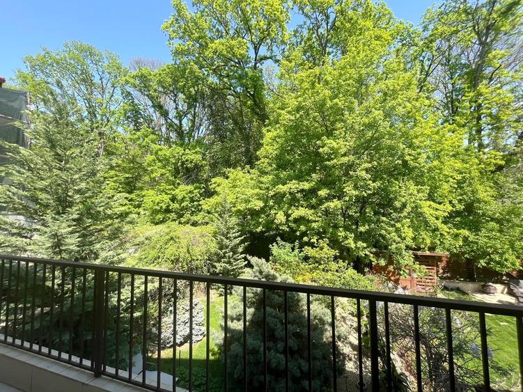 Casa superba langa padurea Baneasa, liceul Francez, metrou Paris, curte proprie - 3