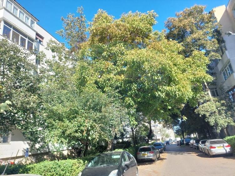 Apartament 2 camere zona Sud-Republicii Bacau - 14