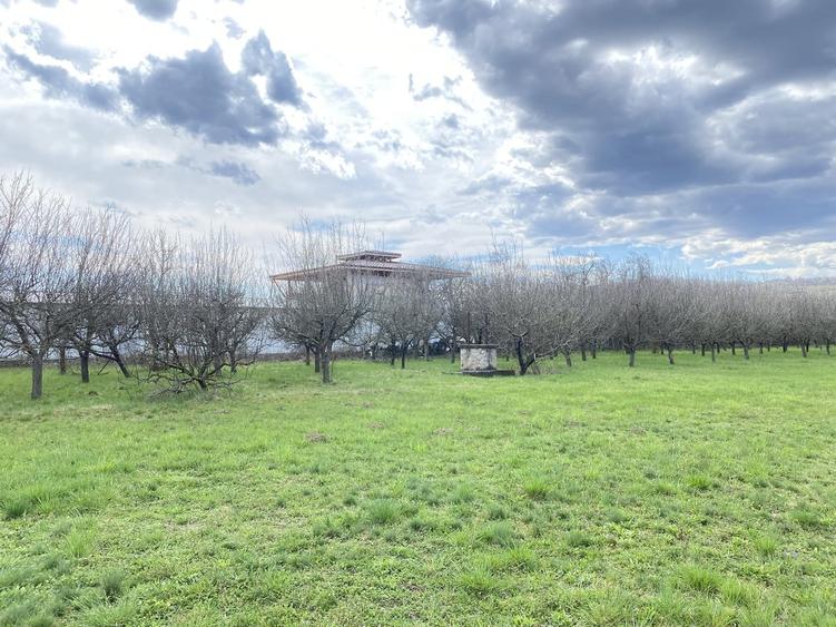 Berevoesti, Arges - 13