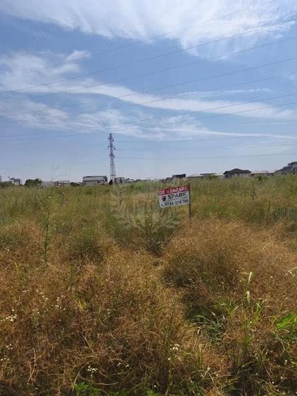 TEREN CARTIER ALBERT//INTRAVILAN - 1