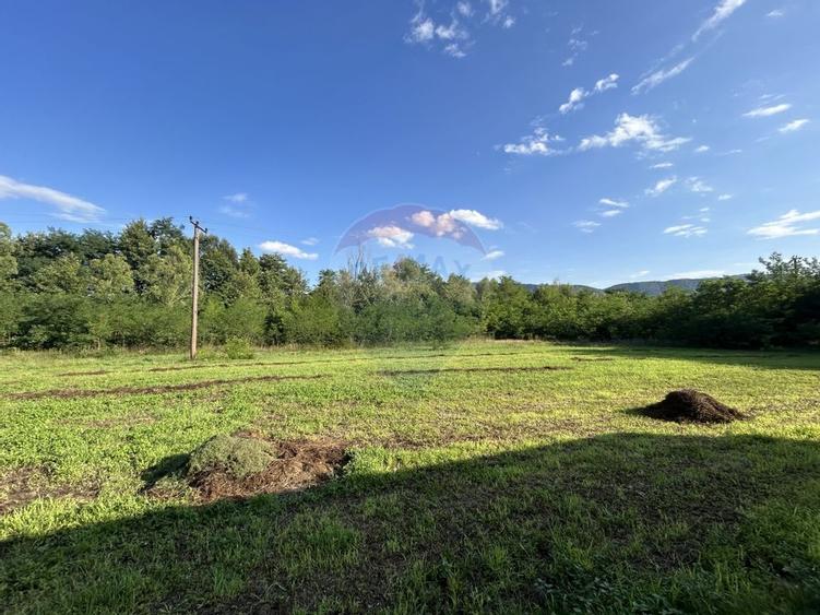 DE VANZARE: Hala industriala + teren generos intravilan - 11