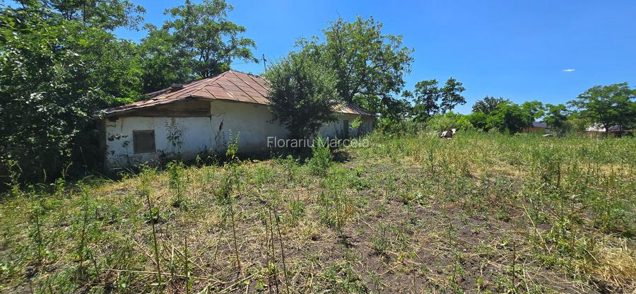 Casa batraneasca cu 4260mp teren la Costesti