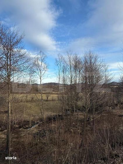 CABANA PREMIUM LA MUNTE | 123 MP | 2.200 MP TEREN | PRIVELI?TE SUPER - 4