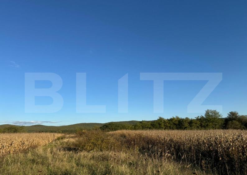 Teren extrvilan 1400mp in Branisca - 2