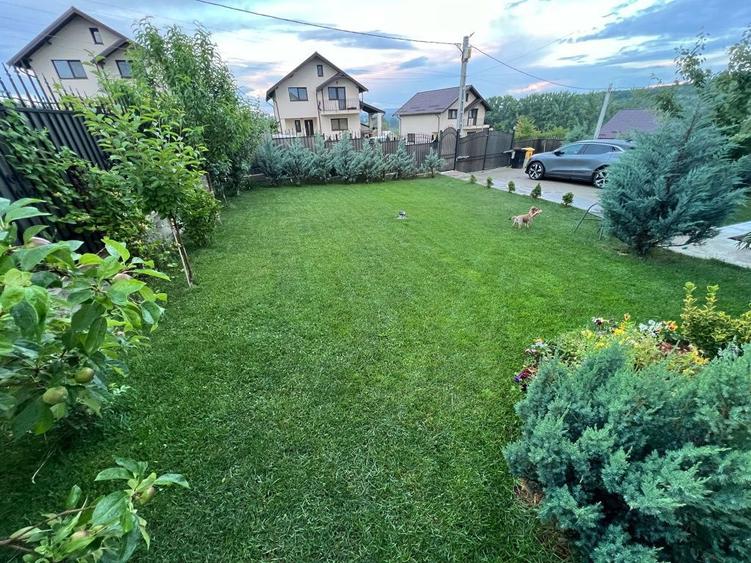 Casa cu piscina de vanzare, Valea Adanca - 8