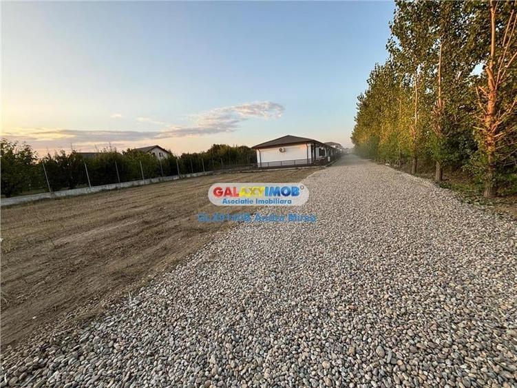 Ultimele loturi disponibile VANZARE teren Joita - Chiajna - 7
