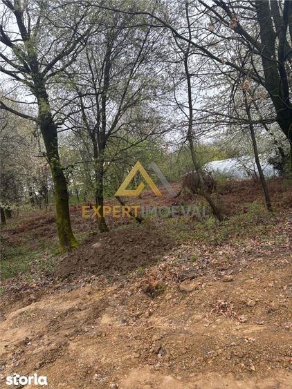 Teren intravilan in spate la Castel Transilvania 1.000mp - 1