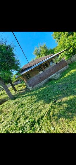 Gospodarie plus terenuri de vânzare  - 1