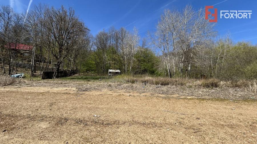 Teren de vanzare 6000 mp cu iesire la Lac Surduc - 2