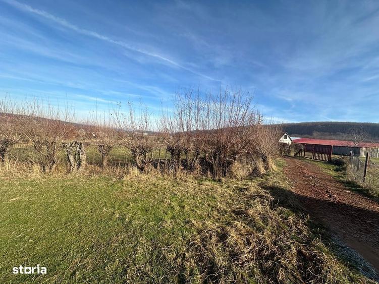 Teren Intravilan 1080 Mp In Rasinari - 7