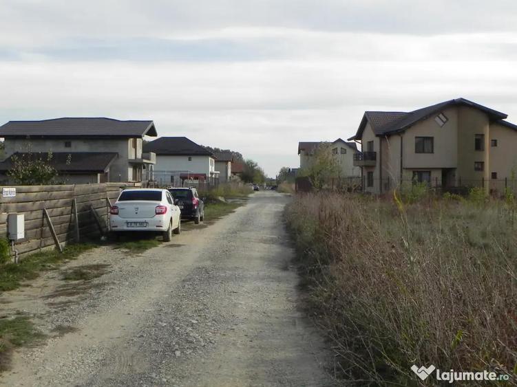 Teren intravilan -pozitie deosebita-langa padure-Domnesti-Teghes 518mp - 6