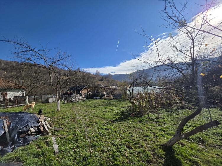 Vand casa cu teren Lupeni, str Mirleasa .jud HD. - 3