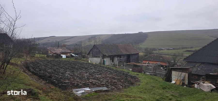 Casa separata cu teren generos de 3650mp - 12