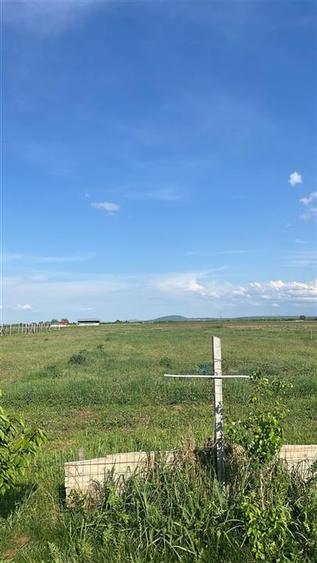 RECO TEREN VANZARE NOJORID - 2