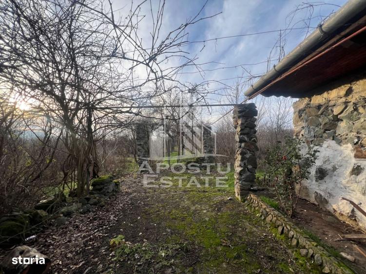 De vanzare casa de vacanta in Charlotemburg jud Timis - 1