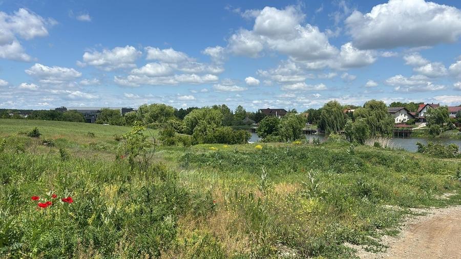Corbeanca (Tamasi), teren intravilan langa lac si padure - 3
