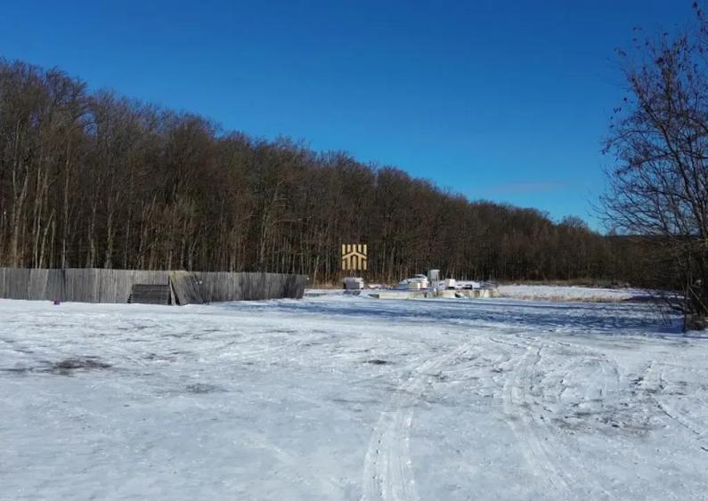 Teren Intravilan langa Padure 10.000 mp 1 hectar Suceava - 1