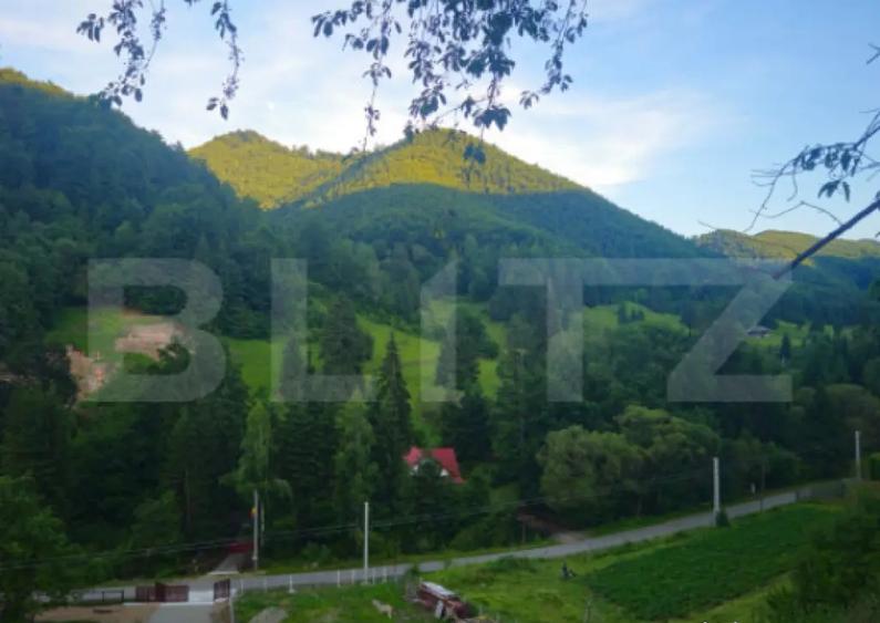 Teren de vanzare, 10.000 mp - Bistrita Bargaului, zona turis - 3