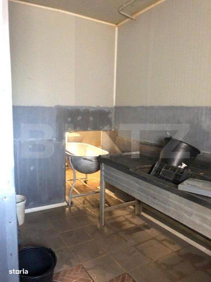 De vanzare Ferma & Abator - 5