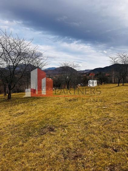 Teren 937 mp Bran/ Sohodol - 6