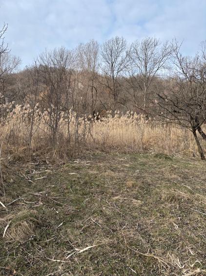 Teren de vanzare Fieni Dambovita - 5