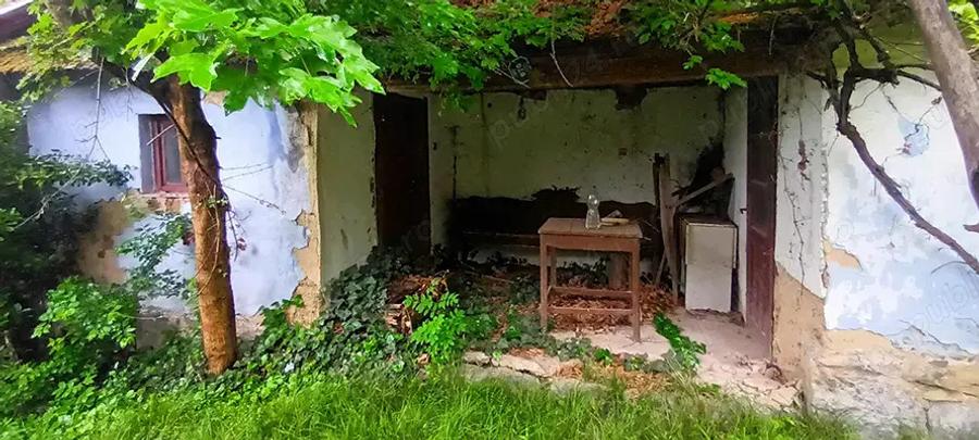 Vand proprietate in Vadu Cri?ului, jud. Bihor - 4