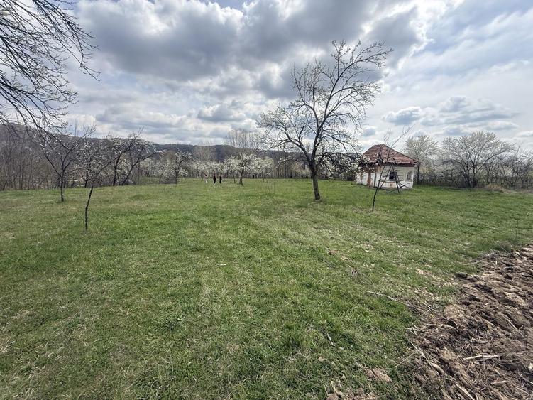 Vand casa batraneasca si teren - 3