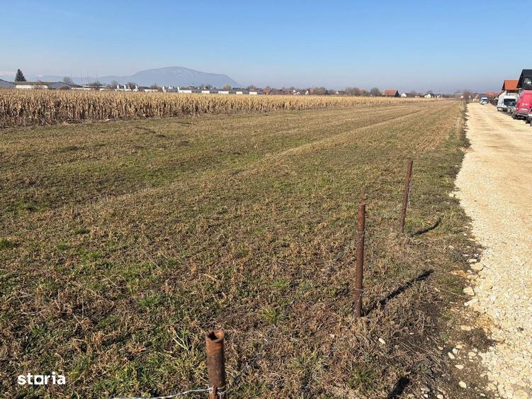 S.C. Vimak Imobiliare vinde teren intravilan Stupini - 2