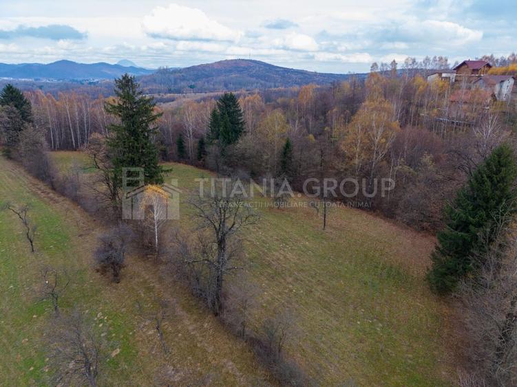 Teren intravilan, cu PUZ, Bran Tohanita,  SE ACCEPTĂ ȘI SCHIMB - 7