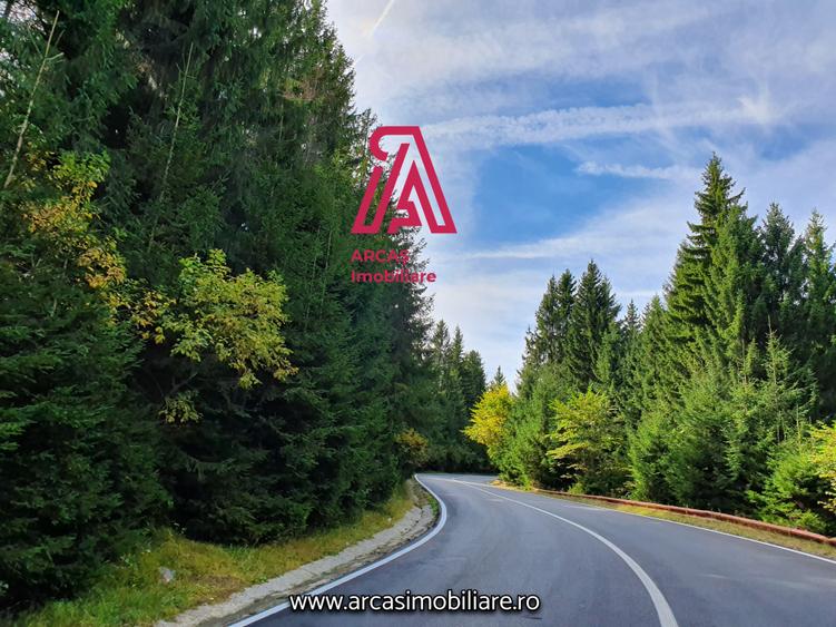 Afacere la Cheie Hotel de vanzare Statiunea Paltinis! - 9