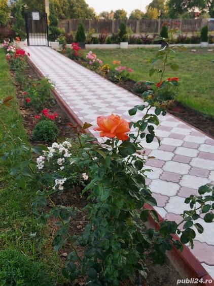 Casa moderna 180 mp amprenta la sol - 5