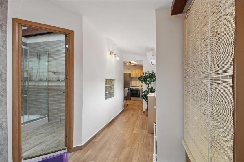 Casa  individuala si afacere la cheie - oportunitate -investiție - 28