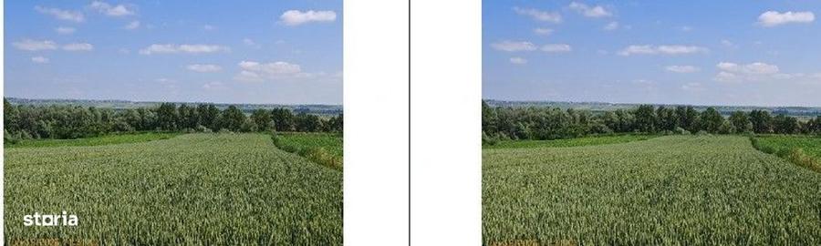 Teren de 1000 mp, în Salcea