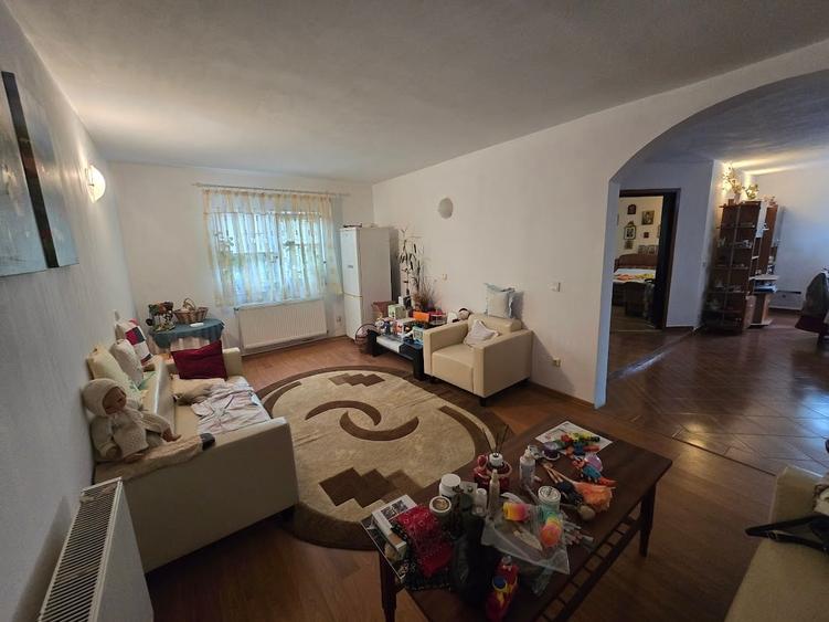 Magurele/Darasti-Ilfov/Vila individula cu crama,garaj,foisor,livada si solar - 7