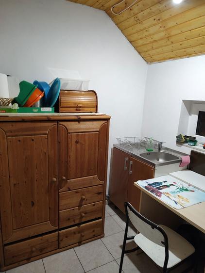 Vand casa de vacanta extravilan zona Baraj Gura Raului - coada lacului - 8