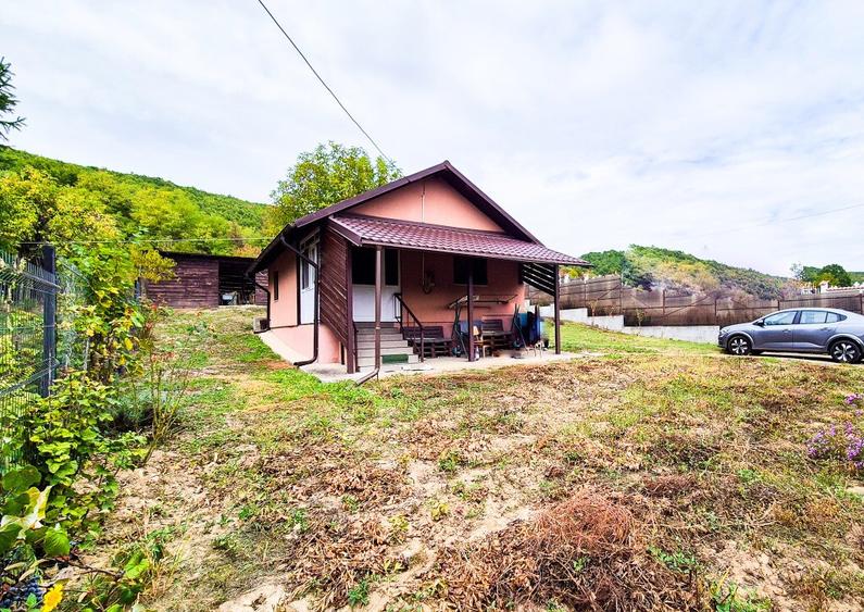 Casa , teren intravilan Valea Mare Stefanesti Arges - 3