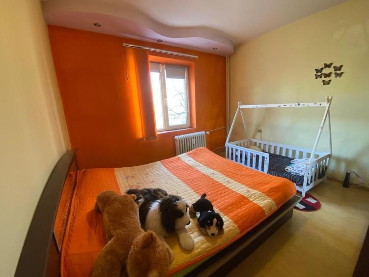 Apartament Dristor - 6