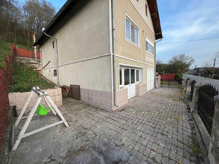 Casa de familie/vacanta + Spatii comerciale DE VANZARE - 8