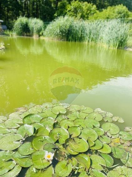 Vilă de vânzare Padurea Snagov - 16