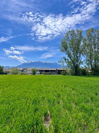 Teren intravilan construcție casă - 4